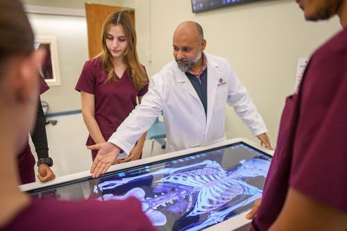 An instructor in a white lab coat demonstrates human anatomy on a large digital touch table for a group of health sciences students wearing maroon scrubs.