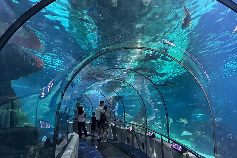 The aquarium in Barcelona.