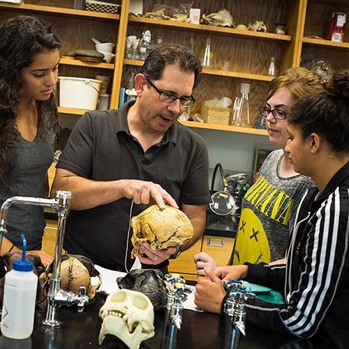 A professor works with students in the biology lab.