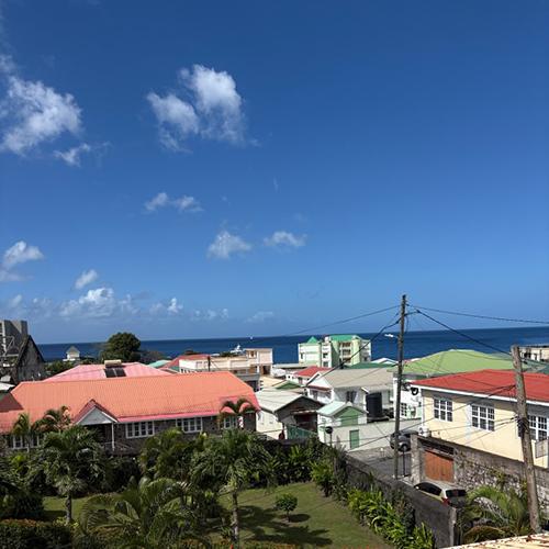 The coast of Dominica.