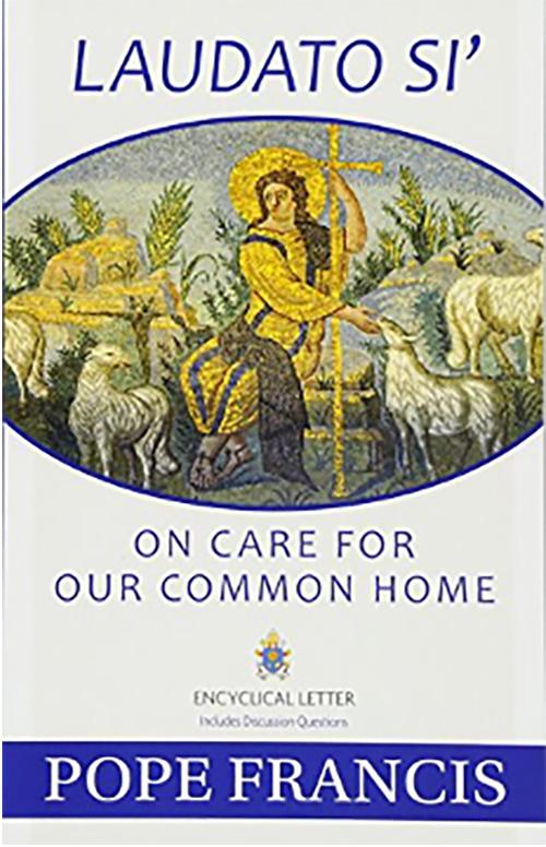 Laudato Si: On Care for Our Common Home Flyer.