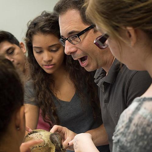 Dr. Stabile works with students in the lab.