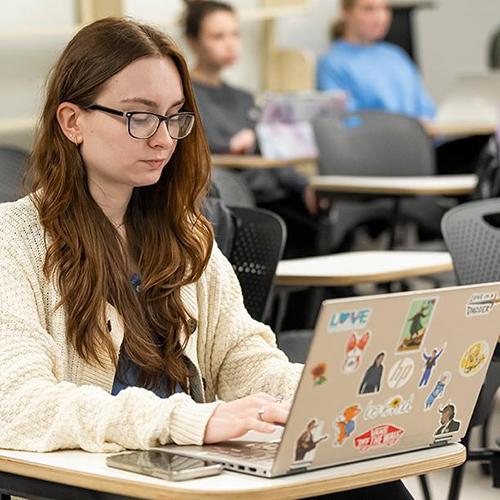 A student works on a laptop in a computer science class.