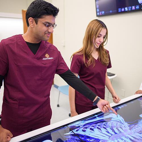 Two students work on the virtual anatomy board.