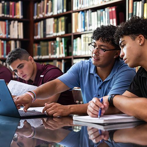 Students study together in the library.