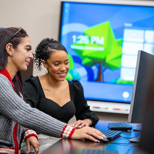 Students working together in a computer lab.