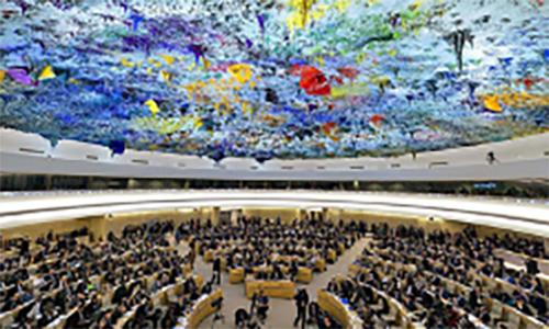 Human Rights Council at the United Nations.