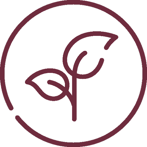 Plant-based maroon icon.